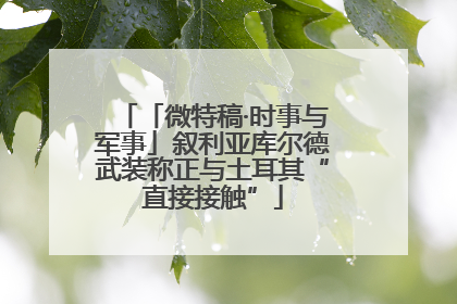 「微特稿·时事与军事」叙利亚库尔德武装称正与土耳其“直接接触”